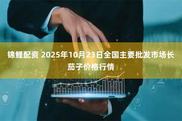 锦鲤配资 2025年10月23日全国主要批发市场长茄子价格行情