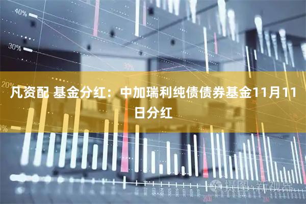 凡资配 基金分红：中加瑞利纯债债券基金11月11日分红